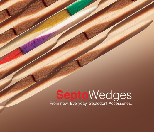 SeptoWedges brochure